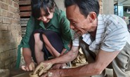 Du lịch trải nghiệm Hội An lên ngôi