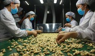 Phòng vệ khi Mỹ - Trung so găng tiền tệ: Xuất khẩu ứng phó sớm