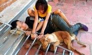 Bắt 10 cẩu tặc trộm hơn 40 con chó trong 1 đêm