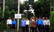 Đồng Tháp: Gắn biển công trình Thắp sáng đường quê