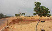 Rao bán đất nền, dự án Nhơn Hội New City tiếp tục bị “tuýt còi”