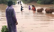 Quảng Trị: Mưa lớn khiến nhiều vùng bị nước dâng chia cắt
