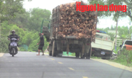 Vụ tài xế xe quá tải trình diện CSGT trong nhà dân: Trung tá CSGT bị kỷ luật