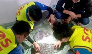 Cần xử lý hình sự “kịch khung” bọn rải đinh mới sợ!