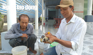 Lý do cua biển ngon nhất miền Tây trúng giá dịp Tết Canh Tý