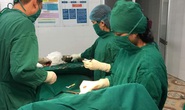 Bác sĩ bỏ ăn Tết, vào bệnh viện hiến máu cứu sản phụ vỡ thai ngoài tử cung