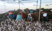Nông sản Việt mất đường sang Trung Quốc vì virus corona