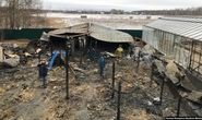 Nga: Cháy tại trang trại nhà kính, 8 người Việt thiệt mạng?