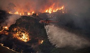Cháy rừng ở Úc: Lời cảnh báo cho toàn thế giới