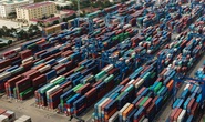 Hàng tồn phế liệu vẫn chưa được tái xuất