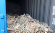 Tái xuất phế liệu tồn đọng: Hãng tàu vẫn kêu khó