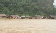 Thương lắm miền Trung!