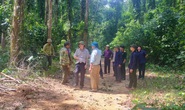 Đi rừng, 2 người dân Quảng Bình bị lũ cuốn tử vong