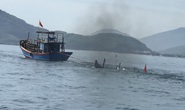 Tàu hàng bị chìm, 11 thuyền viên may mắn sống sót
