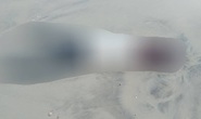 Phát hiện 2 thi thể dạt vào bờ biển Quảng Trị