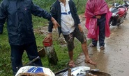 Quảng Ngãi: Sạt lở núi, 2 người thoát chết trong gang tấc