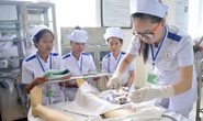 Nhật Bản đánh giá cao điều dưỡng, hộ lý Việt Nam