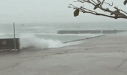 CLIP Bão số 13: Lý Sơn gió đã giật cấp 12, sóng biển cao từ 5-7 mét