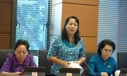 Lo mất rừng vì thủy điện nhỏ