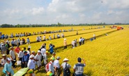 Khơi thông vốn cho nông nghiệp