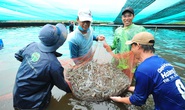 Quy hoạch ĐBSCL thành 3 vùng