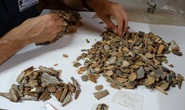 Mở cửa mộ cổ 41.000 năm, phát hiện hài cốt là... một loài người khác