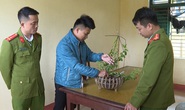 Bắt 3 kẻ lừa bán lan đột biến, chiếm đoạt hơn 1 tỉ đồng