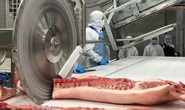 Giá thịt heo Tết sẽ tăng?