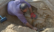 Theo dõi tội phạm, phát hiện mộ cổ 2.300 năm và kho báu gây choáng váng