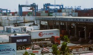 Nghị viện châu Âu chính thức phê chuẩn EVFTA