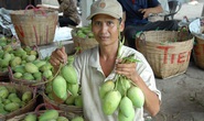 Nỗ lực khai thác EVFTA