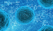 Phát hiện mới giúp Mỹ sớm có một loại vắc-xin chống lại tất cả virus