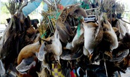 Phải dẹp nạn buôn bán động vật hoang dã