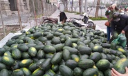 Dân Hà Nội đổ xô mua dưa hấu giải cứu nông dân các tỉnh phía Nam