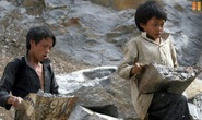 520.000 trẻ em làm việc nặng nhọc, độc hại, nguy hại