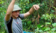Sống lại một vùng sâm