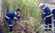 200 ngày thi đua chào mừng Đại hội Đảng bộ các cấp