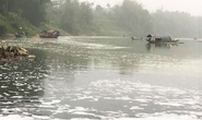 Điều tra nguyên nhân cá chết hàng loạt trên sông Chu