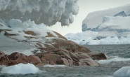 Tàu thám hiểm Nam Cực lạc đến hoang đảo ma phủ đá hoa cương