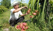 Nông sản khởi động lại thị trường Trung Quốc