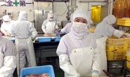 Hơn 560.000 lao động Việt Nam đang làm việc ở nước ngoài vẫn ổn định