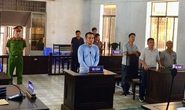 Làm giả giấy tờ, các siêu lừa thoát tội?