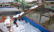 Đề nghị xử lý doanh nghiệp khai khống để giữ hạn ngạch xuất khẩu gạo