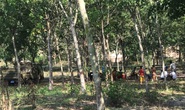 Phát hiện thi thể cháy đen trong rừng cao su ở Bình Dương