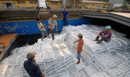 Doanh nghiệp xù cấp gạo dự trữ quốc gia, Bộ Tài chính đề nghị tăng chế tài