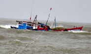 Tìm kiếm tàu cá và 8 ngư dân mất tích ở vùng biển Hoàng Sa