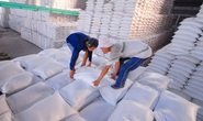 Mua gạo dự trữ quốc gia: Chuyển hồ sơ sai phạm của 7 Cục Dự trữ sang Bộ Công an
