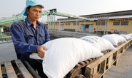 Địa phương bắt bẻ Bộ Công Thương vì sao lại áp hạn ngạch xuất khẩu gạo?