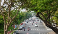 Giá đất tại Đà Nẵng cao nhất 98,8 triệu đồng/m2