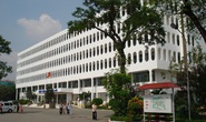 Phi công người Anh mắc Covid-19 nặng đã âm tính